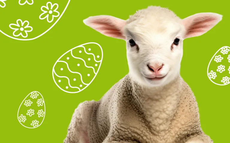 A white lamb is set against a green backdrop, surrounded by artistic renderings of Easter eggs in white.