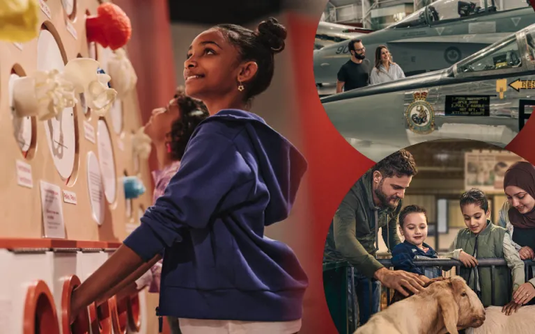 Collage of images that includes a young person looking at a museum display, a couple standing near a jet and a family petting some goats
