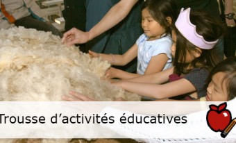 Trousse d'activités éducatives « Du mouton au chandail »