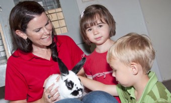 A young woman wearing a red polo shirt is sitting holding a black and white rabbit on her lap. Two young children, a girl and a boy, are standing next to the woman and the boy is petting the rabbit.