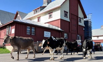 Visite virtuelle : Explorez une ferme laitière