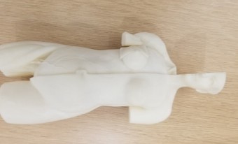 Anatomical model 3D print