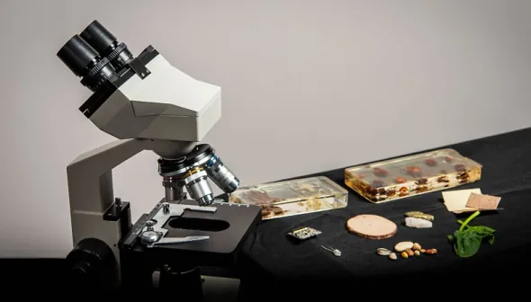 microscope and slides