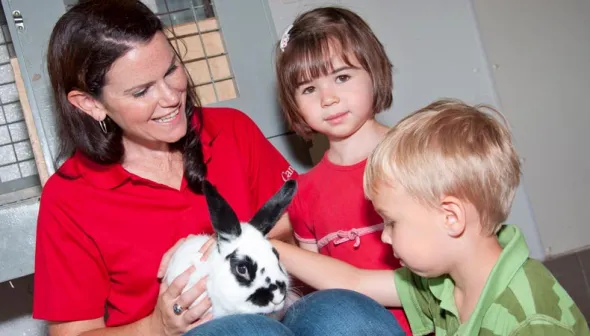 Buddy Rabbit Educational Activity Kit