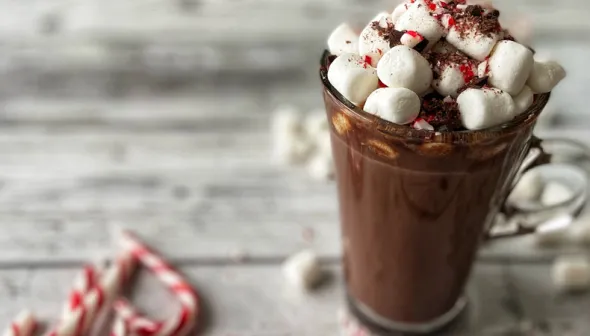 A close-up image depicts a glass mug of hot chocolate, topped with marshmallows and crushed candy canes. Several candy canes sit next to the mug.