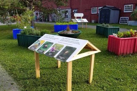 Un espace vert avec des jardinières colorées à l'arrière-plan et un rail de lecteurs avec des photos d'insectes à l'avant.
