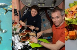 Trois images, côte-à-côte, de gauche à droite: du varech sous l'eau, des astronautes assis à table sur la station spatiale internationale, et une assiette contenant du poulet et une salade.