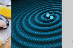 A spliced, three-part image features: a tray of oysters on the left, a graphical representation of a black hole and a neutron star orbiting each other in the centre, and a graphical image of a robot on the right.