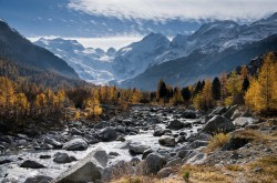 Autumn vista of a river winding between pine trees and snow-capped mountains.