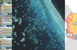 Trois images, côte-à-côte, de gauche à droite: des oeufs dans une tablette d'épicerie, des rédifs de corrail depuis l'espace,  une carte du Canada divisé en section de différentes couleurs