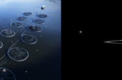 Two images, spliced. On the left: Aerial photograph of two rows of six large circular nets floating on water and attached by ropes to a boat. On the right: The rings of Saturn slice horizontally, almost edge-on, through the middle of the image. A variety of Saturnian moons of varying apparent sizes are in the image ranging from very small, background moons to larger and closer moons.