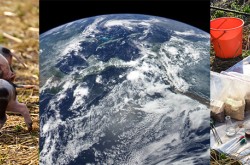 Trois images, côte à côte. De gauche à droite : un groupe de porcelets, une vue de la Terre depuis l'espace, une personne agenouillée devant des sacs de terre.