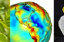 Trois images côte à côte : une grappe de scarabées cuivrés dévorant une fleur de rose, des couleurs montrant les variations de gravité de la Terre, et quatre diamants synthétiques jaunes et un blanc.